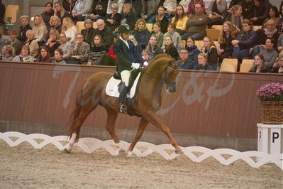 Dansk Rideforbunds Championats finaler 2019 dressur
Dansk Rideforbunds Championats finaler 2019
5 års
Nøgleord: severo jurado lopez;springbank II vh