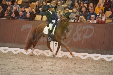 Dansk Rideforbunds Championats finaler 2019 dressur
Dansk Rideforbunds Championats finaler 2019
5 års
Nøgleord: severo jurado lopez;springbank II vh