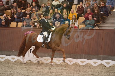 Dansk Rideforbunds Championats finaler 2019 dressur
Dansk Rideforbunds Championats finaler 2019
5 års
Nøgleord: severo jurado lopez;springbank II vh