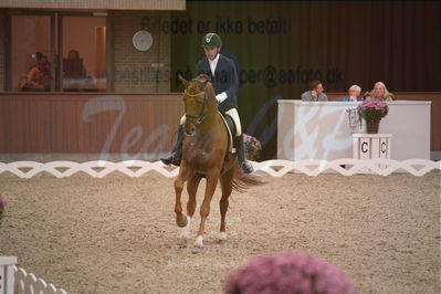 Dansk Rideforbunds Championats finaler 2019 dressur
Dansk Rideforbunds Championats finaler 2019
5 års
Nøgleord: severo jurado lopez;springbank II vh