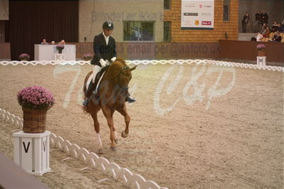 Dansk Rideforbunds Championats finaler 2019 dressur
Dansk Rideforbunds Championats finaler 2019
5 års
Nøgleord: severo jurado lopez;springbank II vh
