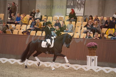 Dansk Rideforbunds Championats finaler 2019 dressur
Dansk Rideforbunds Championats finaler 2019
5 års
Nøgleord: søren wind;joshua
