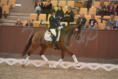 Dansk Rideforbunds Championats finaler 2019 dressur
Dansk Rideforbunds Championats finaler 2019
5 års
Nøgleord: cathrine dufour;eternity 75