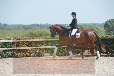 Blue Hors Dressurchampionat 2019 3års
Billeder fra stævnet
Nøgleord: fruerings saigon;susanne barnow