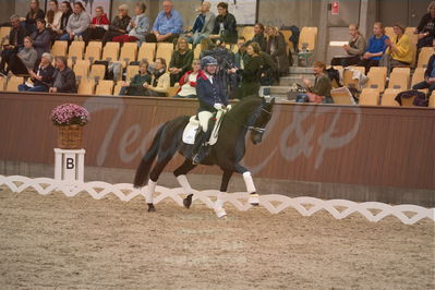 Dansk Rideforbunds Championats finaler 2019 dressur
Dansk Rideforbunds Championats finaler 2019
5 års
Nøgleord: meike lang;elverhøjs raccolto