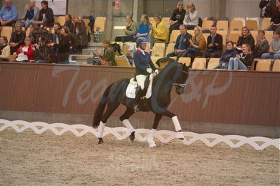 Dansk Rideforbunds Championats finaler 2019 dressur
Dansk Rideforbunds Championats finaler 2019
5 års
Nøgleord: meike lang;elverhøjs raccolto