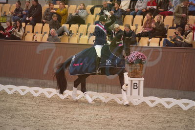 Dansk Rideforbunds Championats finaler 2019 dressur
Dansk Rideforbunds Championats finaler 2019
5 års
Nøgleord: andreas helgstrand;queenparks wendy;lap of honour