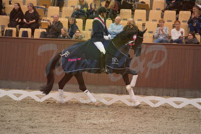 Dansk Rideforbunds Championats finaler 2019 dressur
Dansk Rideforbunds Championats finaler 2019
5 års
Nøgleord: andreas helgstrand;queenparks wendy;lap of honour