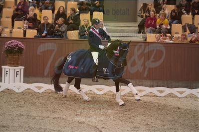 Dansk Rideforbunds Championats finaler 2019 dressur
Dansk Rideforbunds Championats finaler 2019
5 års
Nøgleord: andreas helgstrand;queenparks wendy;lap of honour