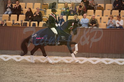 Dansk Rideforbunds Championats finaler 2019 dressur
Dansk Rideforbunds Championats finaler 2019
5 års
Nøgleord: andreas helgstrand;queenparks wendy;lap of honour