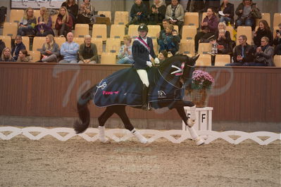 Dansk Rideforbunds Championats finaler 2019 dressur
Dansk Rideforbunds Championats finaler 2019
5 års
Nøgleord: andreas helgstrand;queenparks wendy;lap of honour