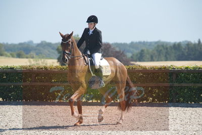 Blue Hors Dressurchampionat 2019 3års
Billeder fra stævnet
Nøgleord: kielsgaardens prins obrio;ditte ginnerup andersen