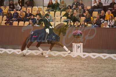 Dansk Rideforbunds Championats finaler 2019 dressur
Dansk Rideforbunds Championats finaler 2019
5 års
Nøgleord: severo jurado lopez;springbank II vh;lap of honour