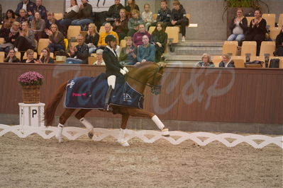 Dansk Rideforbunds Championats finaler 2019 dressur
Dansk Rideforbunds Championats finaler 2019
5 års
Nøgleord: severo jurado lopez;springbank II vh;lap of honour