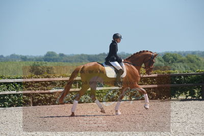 Blue Hors Dressurchampionat 2019 3års
Billeder fra stævnet
Nøgleord: zalsa;anette laugde jørgensen