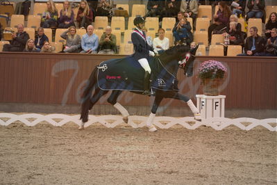 Dansk Rideforbunds Championats finaler 2019 dressur
Dansk Rideforbunds Championats finaler 2019
5 års
Nøgleord: andreas helgstrand;queenparks wendy;lap of honour