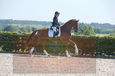 Blue Hors Dressurchampionat 2019 3års
Billeder fra stævnet
Nøgleord: zalsa;anette laugde jørgensen