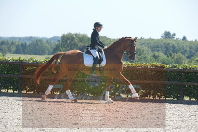 Blue Hors Dressurchampionat 2019 3års
Billeder fra stævnet
Nøgleord: zalsa;anette laugde jørgensen