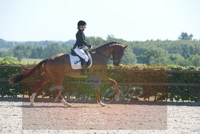 Blue Hors Dressurchampionat 2019 3års
Billeder fra stævnet
Nøgleord: kielsgaardens prins obrio;ditte ginnerup andersen