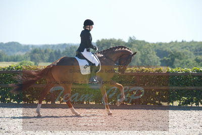 Blue Hors Dressurchampionat 2019 3års
Billeder fra stævnet
Nøgleord: kielsgaardens prins obrio;ditte ginnerup andersen