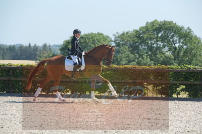 Blue Hors Dressurchampionat 2019 3års
Billeder fra stævnet
Nøgleord: zalsa;anette laugde jørgensen