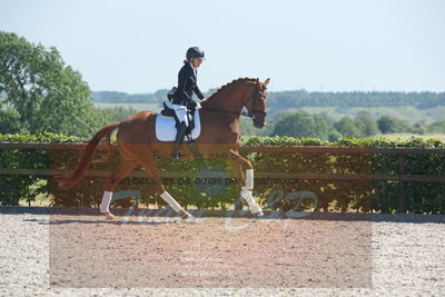 Blue Hors Dressurchampionat 2019 3års
Billeder fra stævnet
Nøgleord: zalsa;anette laugde jørgensen