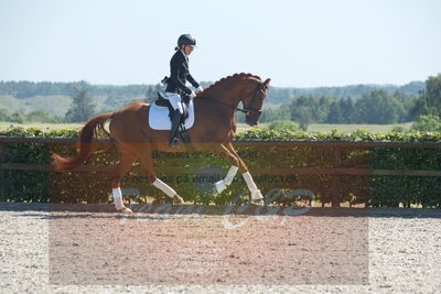 Blue Hors Dressurchampionat 2019 3års
Billeder fra stævnet
Nøgleord: zalsa;anette laugde jørgensen