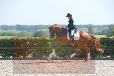 Blue Hors Dressurchampionat 2019 3års
Billeder fra stævnet
Nøgleord: zalsa;anette laugde jørgensen