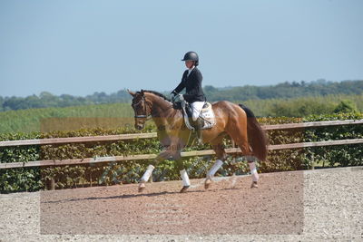 Blue Hors Dressurchampionat 2019 3års
Billeder fra stævnet
Nøgleord: c cadeau;camilla lund-pedersen