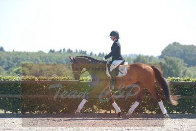 Blue Hors Dressurchampionat 2019 3års
Billeder fra stævnet
Nøgleord: c cadeau;camilla lund-pedersen