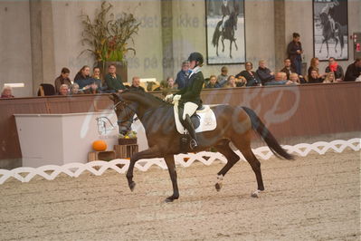 Dansk Rideforbunds Championats finaler 2019 dressur
Dansk Rideforbunds Championats finaler 2018
6 års
Nøgleord: mette sejbjerg jensen;mio fs