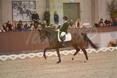 Dansk Rideforbunds Championats finaler 2019 dressur
Dansk Rideforbunds Championats finaler 2018
6 års
Nøgleord: mette sejbjerg jensen;mio fs