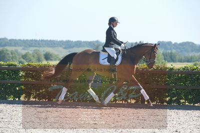 Blue Hors Dressurchampionat 2019 3års
Billeder fra stævnet
Nøgleord: c cadeau;camilla lund-pedersen