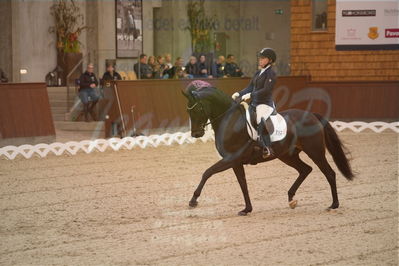 Dansk Rideforbunds Championats finaler 2019 dressur
Dansk Rideforbunds Championats finaler 2018
6 års
Nøgleord: fleurie;sanne glargaard