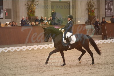 Dansk Rideforbunds Championats finaler 2019 dressur
Dansk Rideforbunds Championats finaler 2018
6 års
Nøgleord: fleurie;sanne glargaard