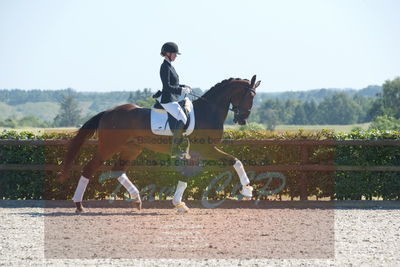 Blue Hors Dressurchampionat 2019 3års
Billeder fra stævnet
Nøgleord: solbakkens spencer;silje bakken