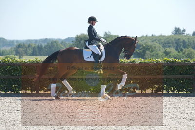 Blue Hors Dressurchampionat 2019 3års
Billeder fra stævnet
Nøgleord: solbakkens spencer;silje bakken