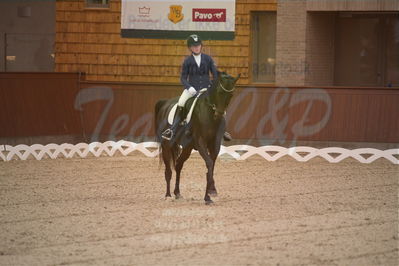 Dansk Rideforbunds Championats finaler 2019 dressur
Dansk Rideforbunds Championats finaler 2018
6 års
Nøgleord: fleurie;sanne glargaard