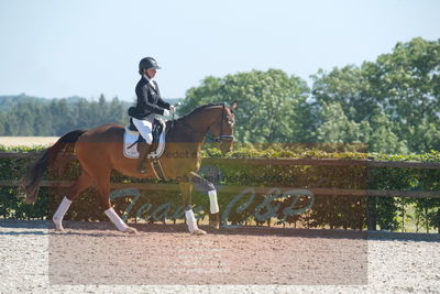 Blue Hors Dressurchampionat 2019 3års
Billeder fra stævnet
