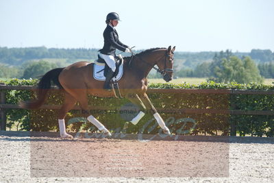 Blue Hors Dressurchampionat 2019 3års
Billeder fra stævnet
