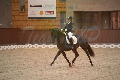 Dansk Rideforbunds Championats finaler 2019 dressur
Dansk Rideforbunds Championats finaler 2018
6 års
Nøgleord: fleurie;sanne glargaard