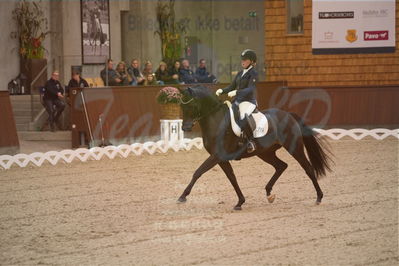 Dansk Rideforbunds Championats finaler 2019 dressur
Dansk Rideforbunds Championats finaler 2018
6 års
Nøgleord: fleurie;sanne glargaard