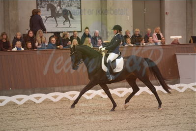 Dansk Rideforbunds Championats finaler 2019 dressur
Dansk Rideforbunds Championats finaler 2018
6 års
Nøgleord: fleurie;sanne glargaard