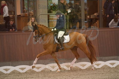 Dansk Rideforbunds Championats finaler 2019 dressur
Dansk Rideforbunds Championats finaler 2018
6 års
Nøgleord: møgelvangs ferrari;pernille elten sigsgaard