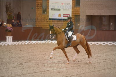 Dansk Rideforbunds Championats finaler 2019 dressur
Dansk Rideforbunds Championats finaler 2018
6 års
Nøgleord: møgelvangs ferrari;pernille elten sigsgaard