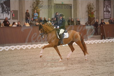 Dansk Rideforbunds Championats finaler 2019 dressur
Dansk Rideforbunds Championats finaler 2018
6 års
Nøgleord: møgelvangs ferrari;pernille elten sigsgaard