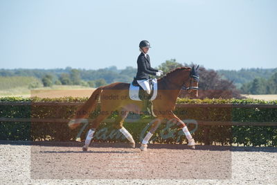 Blue Hors Dressurchampionat 2019 3års
Billeder fra stævnet
Nøgleord: aagaardens lionell;ida hoffman-bang