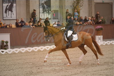 Dansk Rideforbunds Championats finaler 2019 dressur
Dansk Rideforbunds Championats finaler 2018
6 års
Nøgleord: møgelvangs ferrari;pernille elten sigsgaard