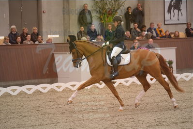 Dansk Rideforbunds Championats finaler 2019 dressur
Dansk Rideforbunds Championats finaler 2018
6 års
Nøgleord: møgelvangs ferrari;pernille elten sigsgaard