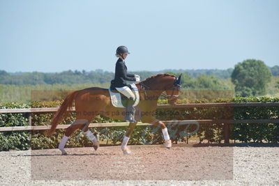 Blue Hors Dressurchampionat 2019 3års
Billeder fra stævnet
Nøgleord: aagaardens lionell;ida hoffman-bang